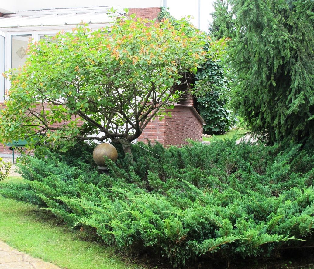 Ливадия на Истре